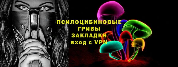 ГАЛЛЮЦИНОГЕННЫЕ ГРИБЫ Баксан