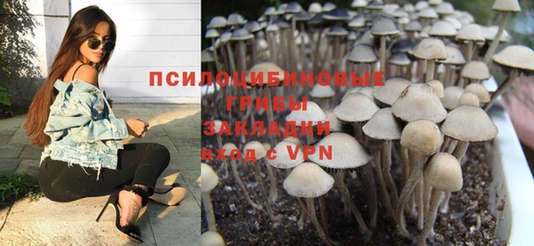 ГАЛЛЮЦИНОГЕННЫЕ ГРИБЫ Баксан
