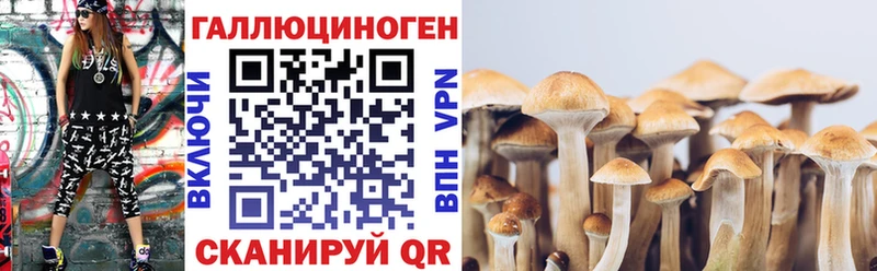наркотики  Кумертау  mega   Псилоцибиновые грибы мухоморы 